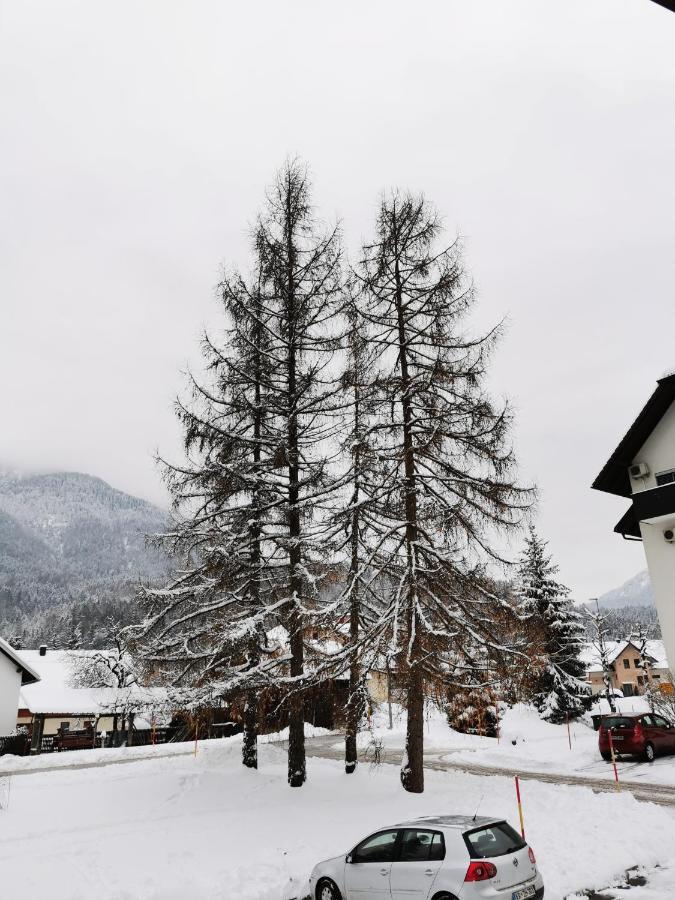 Apartma Kuhar Kranjska Gora Eksteriør bilde